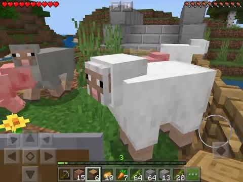 EttoCraft Corso Minecraft introduzione Agricoltura e Allevamento
